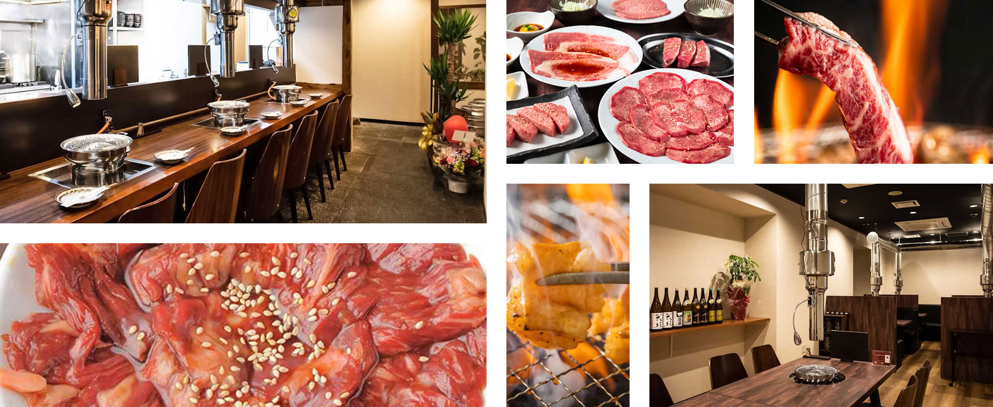 うましかイメージ